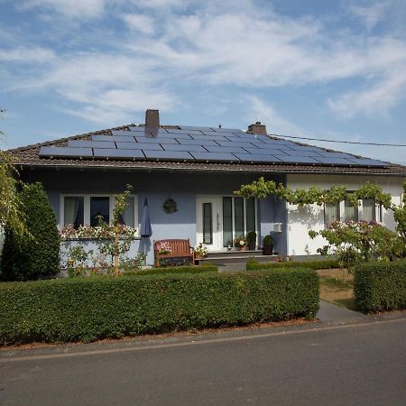 Apartment In Niederehe Near The Forest Üxheim Eksteriør billede
